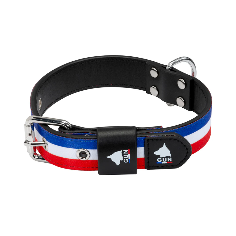 Collier pour chien - Bleu Blanc Rouge - Cuir & nylon