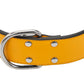 GUN Leather Collar 5 Colors - BIG
