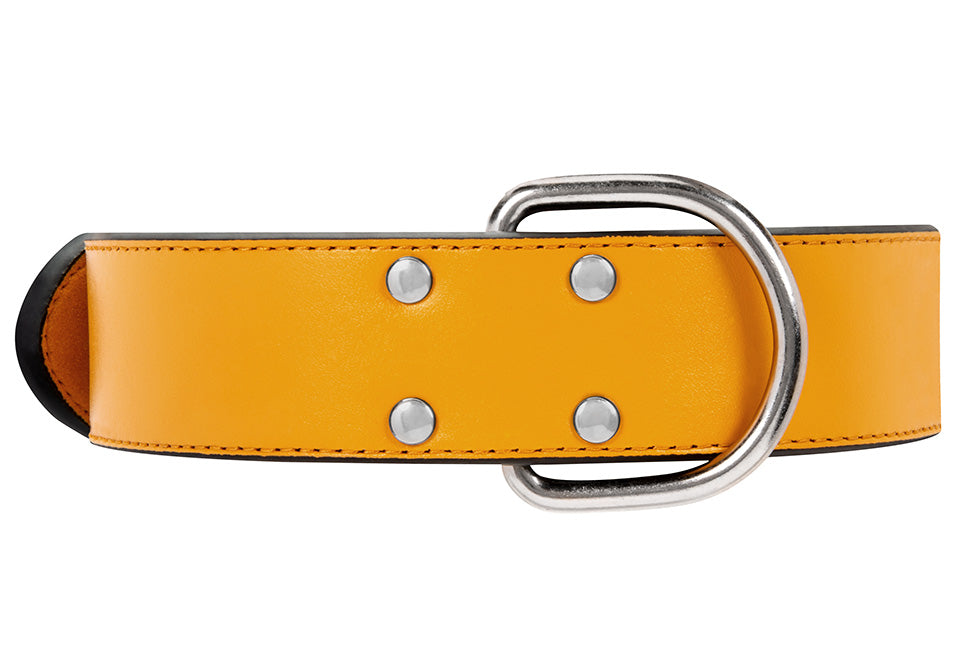 GUN Leather Collar 5 Colors - BIG