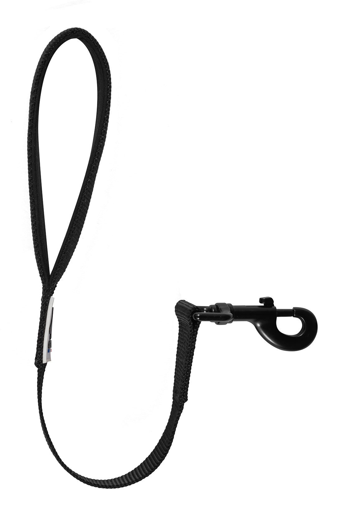 Laisse Courte pour chien